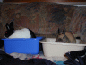 Hobbel und Fussel beim&nbsp;Bobbeln
